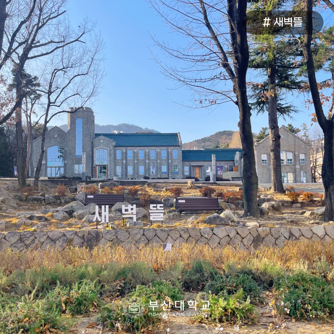 '[PNU_PHOTO] 2025 새해를 맞은 부산대 전경' 첨부파일 이미지, 상세내용은 아래내용 참고