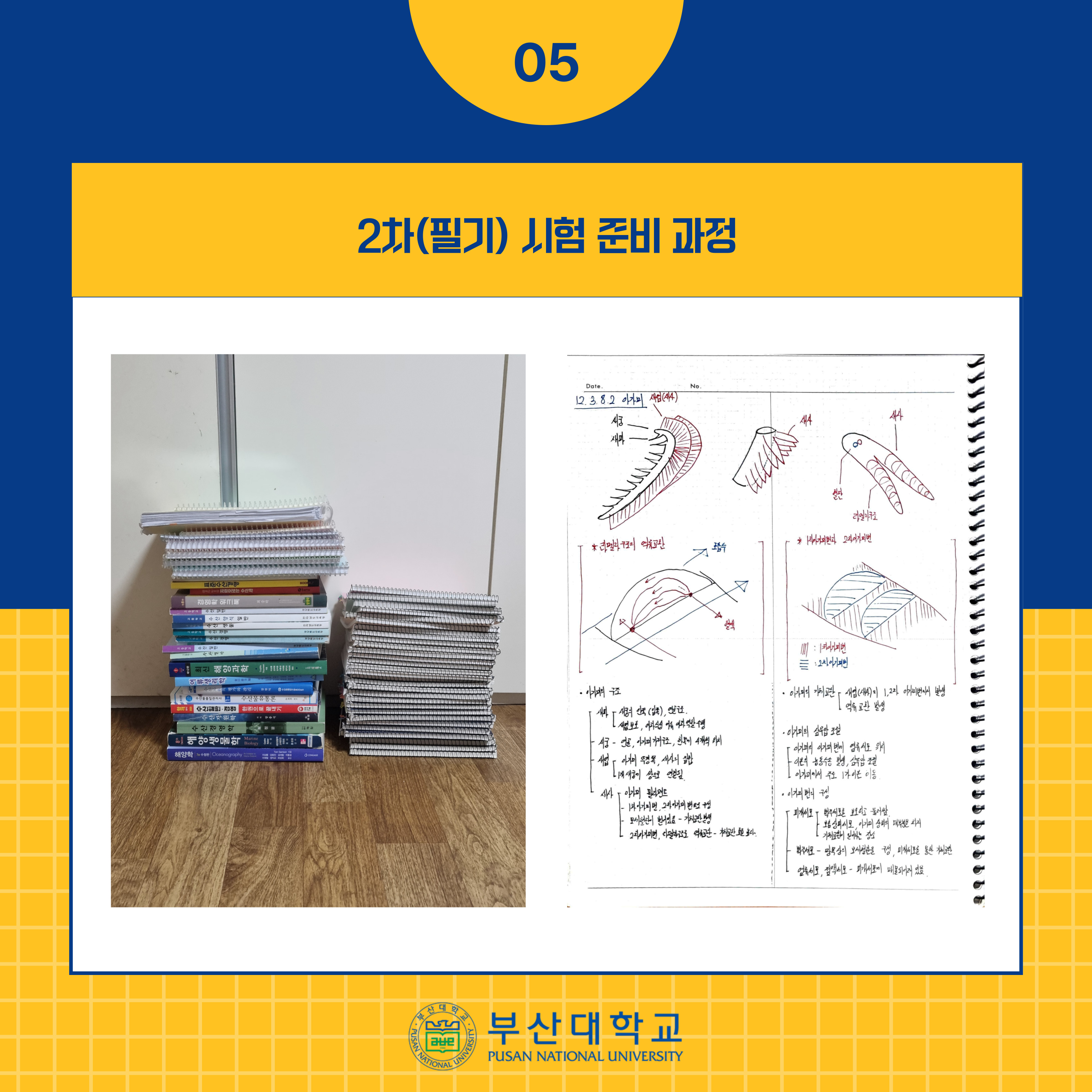 '[PNU_리뷰] 해양학과 14학번 김준민 5급 공채 해양수산직 합격' 첨부파일 이미지, 상세내용은 아래내용 참고