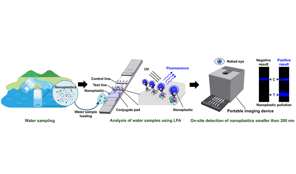 A field-deployable lateral flow assay for rapid and sensitive detection of nanoplastics