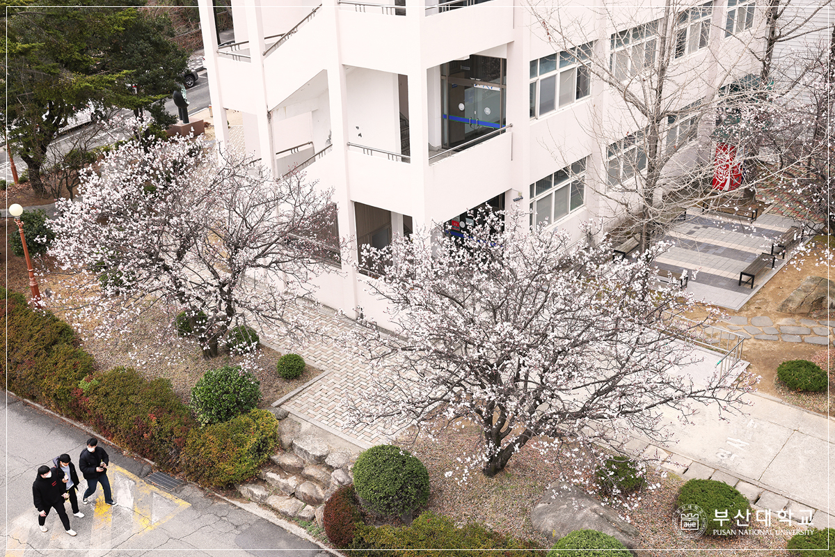 'Busan Campus '