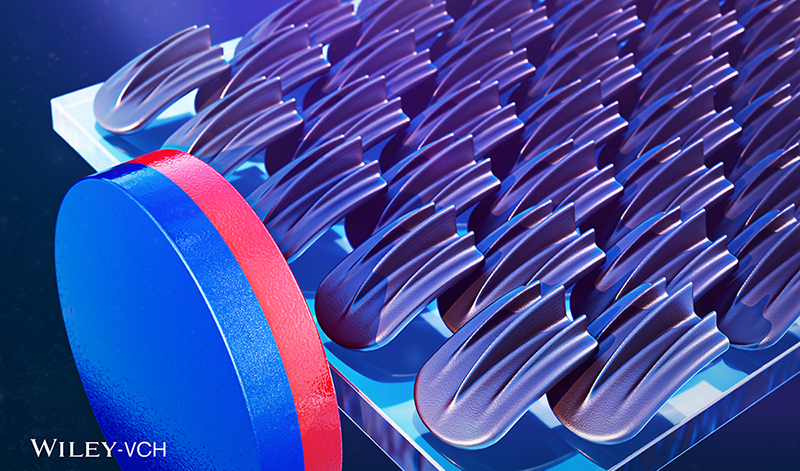 '김채빈 교수팀, 자기장·빛으로 원격 제어하는 인공 '상어 피부' 스마트 소재 개발' 