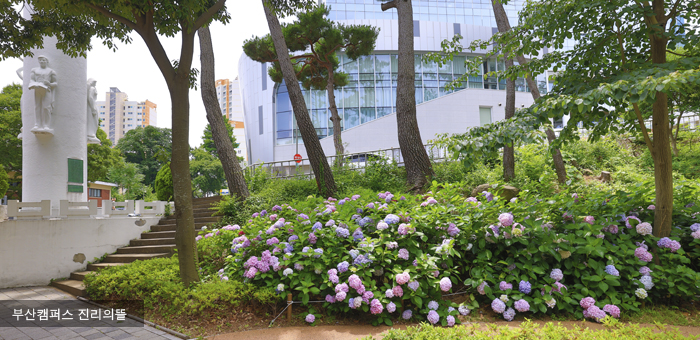 부산대소식지 944호 메인이미지 사진