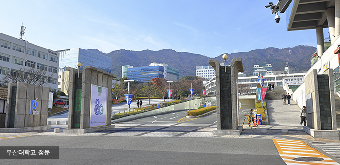 부산대소식지 951호 메인이미지 사진
